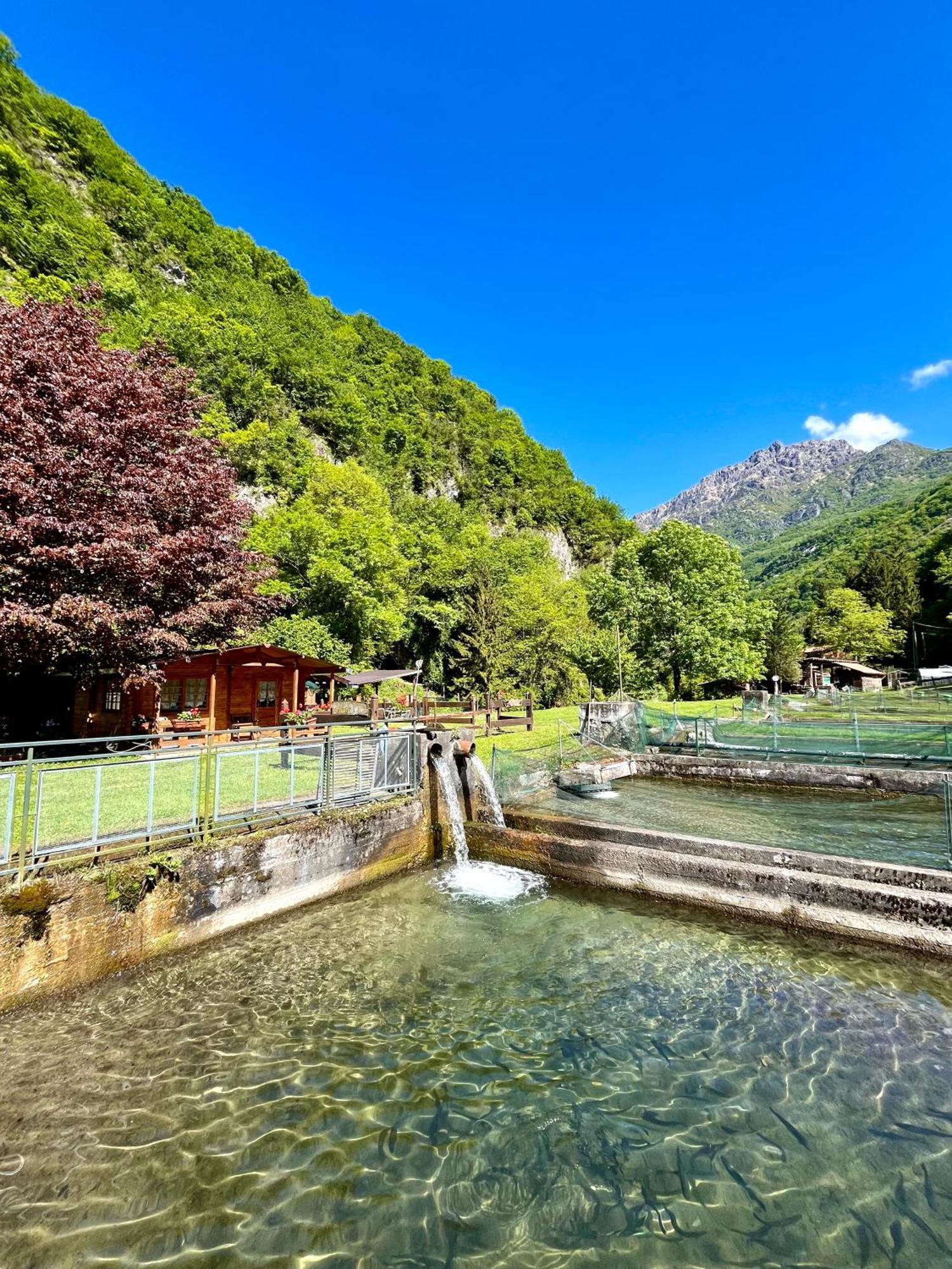 Agriturismo La Vecchia Chioderia Grandola ed Uniti Bagian luar foto