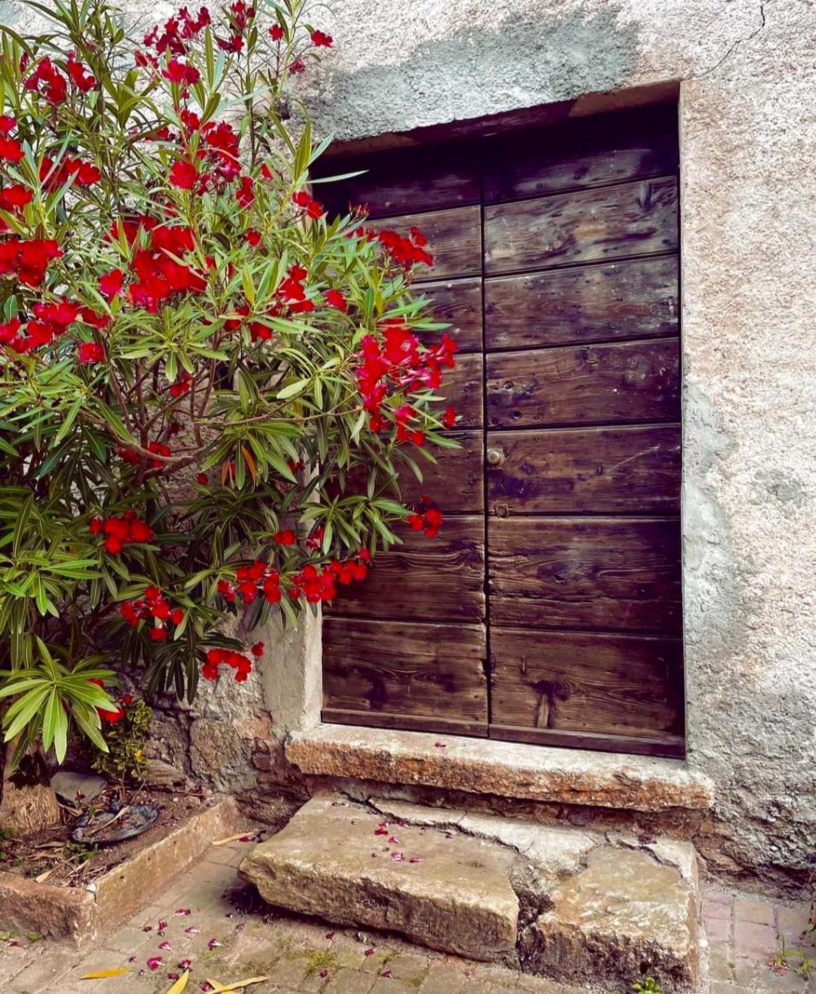 Agriturismo La Vecchia Chioderia Grandola ed Uniti Bagian luar foto