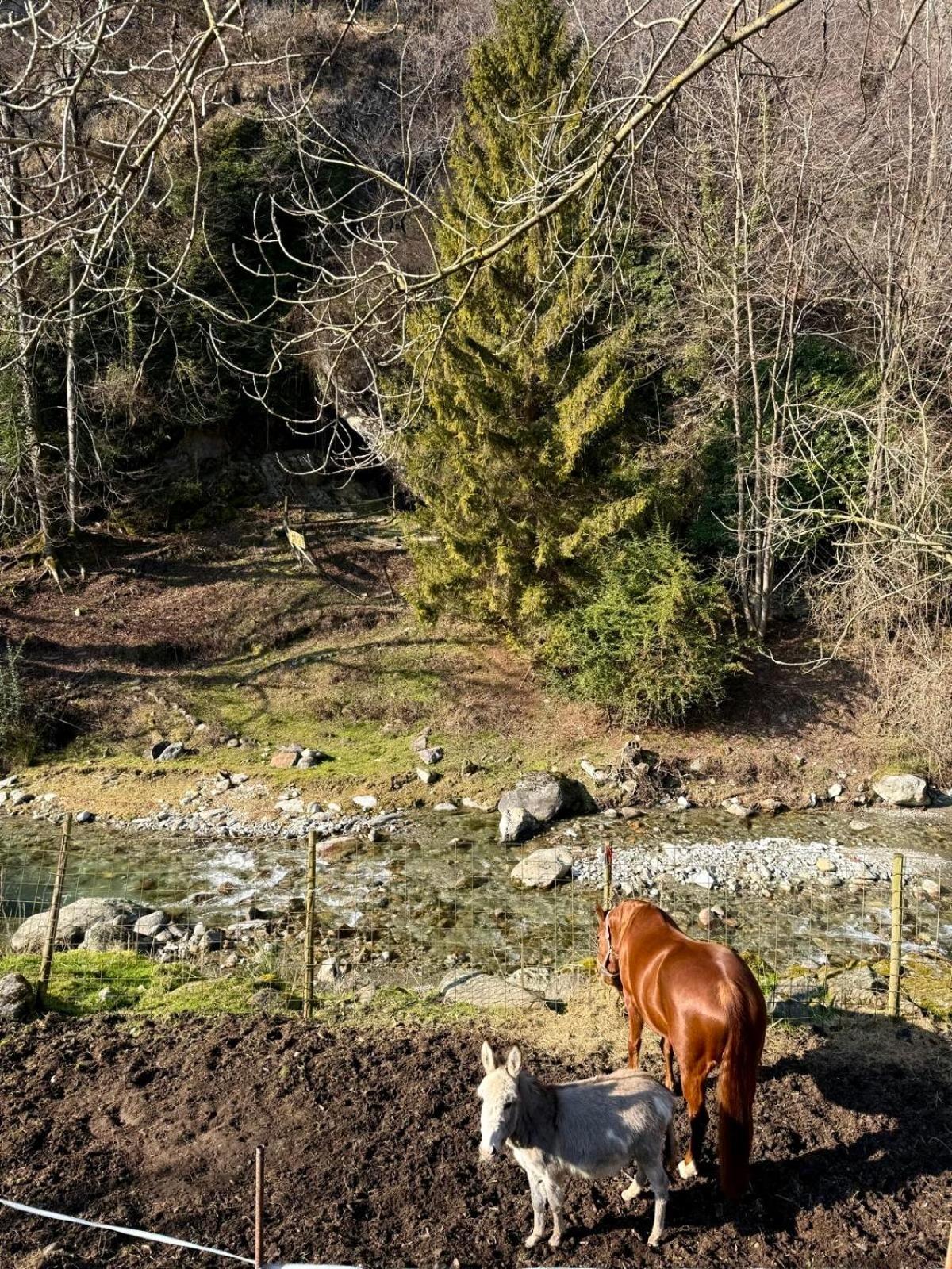 Agriturismo La Vecchia Chioderia Grandola ed Uniti Bagian luar foto