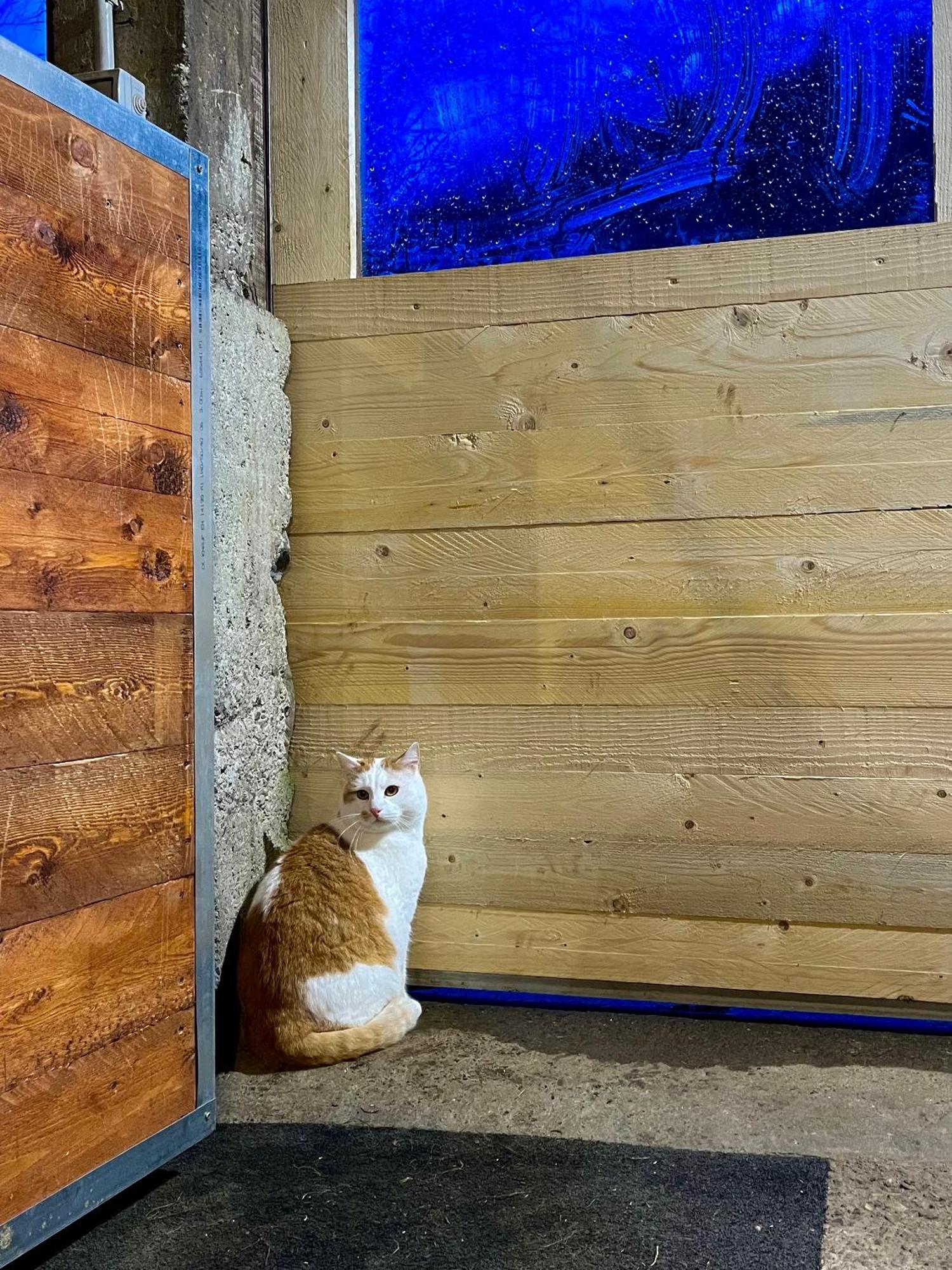 Agriturismo La Vecchia Chioderia Grandola ed Uniti Bagian luar foto