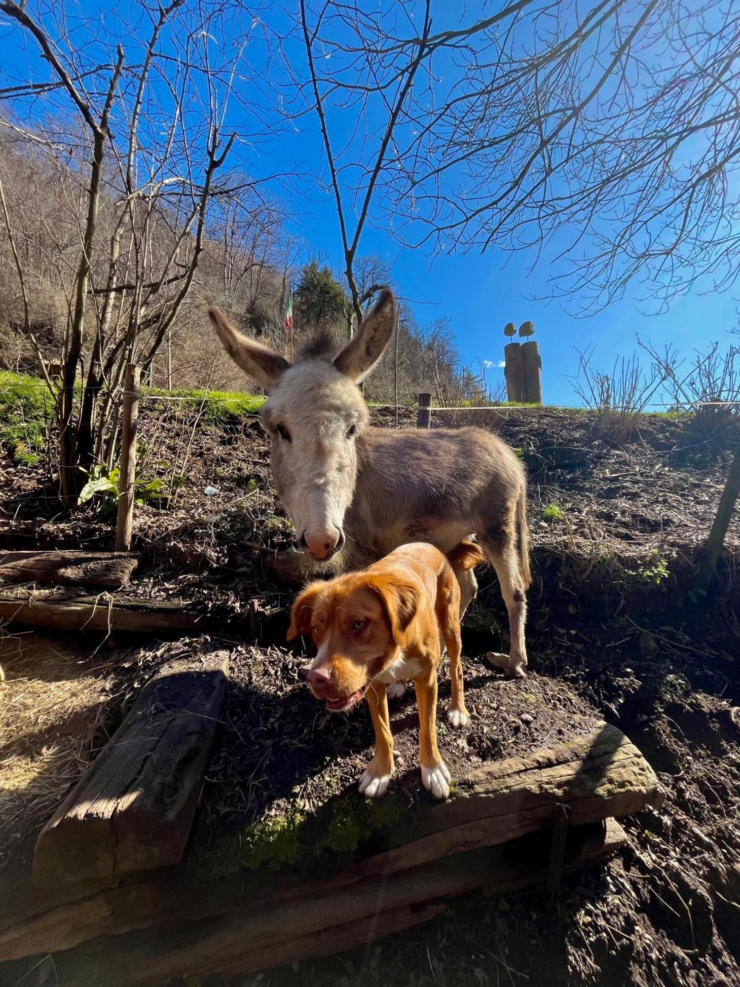 Agriturismo La Vecchia Chioderia Grandola ed Uniti Bagian luar foto