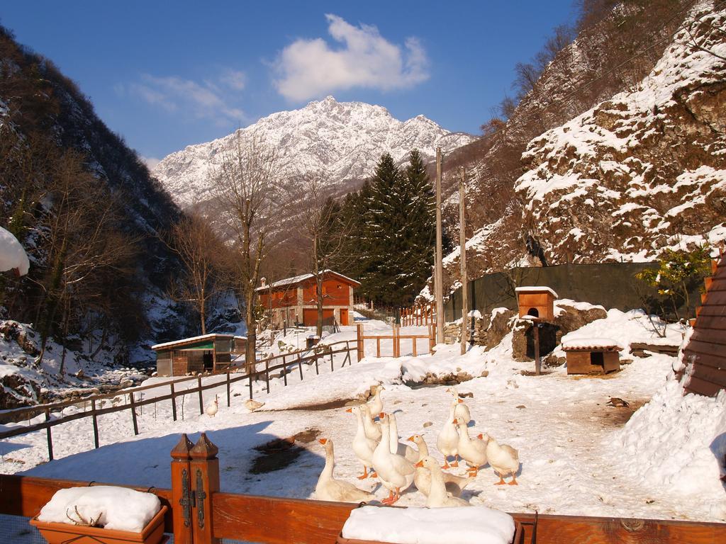 Agriturismo La Vecchia Chioderia Grandola ed Uniti Bagian luar foto